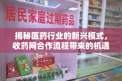 温州揭秘医药行业的新兴模式，收药网合作流程带来的机遇与挑战