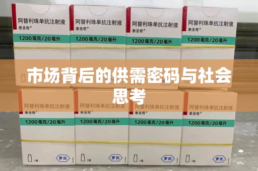 温州市场背后的供需密码与社会思考