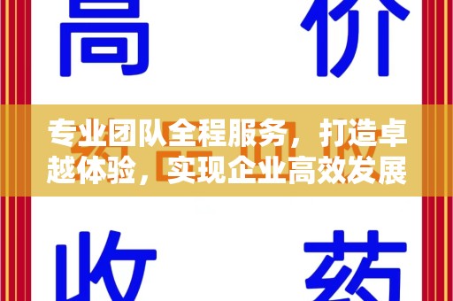 温州专业团队全程服务，打造卓越体验，实现企业高效发展