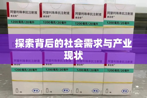温州探索背后的社会需求与产业现状