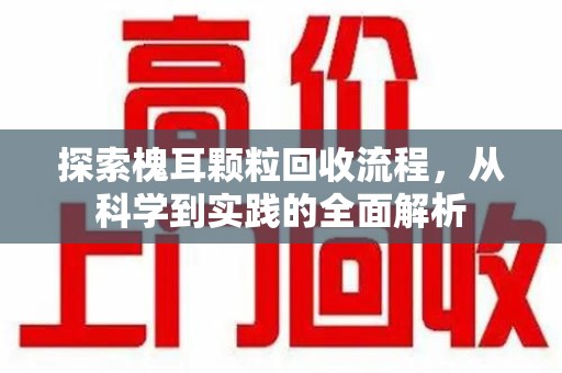 温州探索槐耳颗粒回收流程，从科学到实践的全面解析