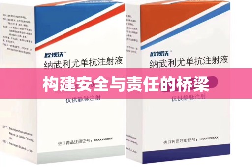 温州构建安全与责任的桥梁