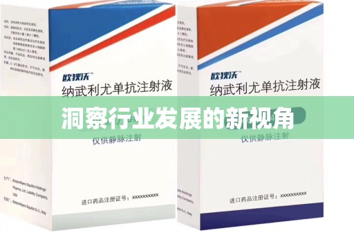 温州洞察行业发展的新视角