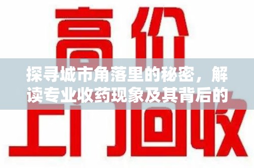 温州探寻城市角落里的秘密，解读专业收药现象及其背后的故事